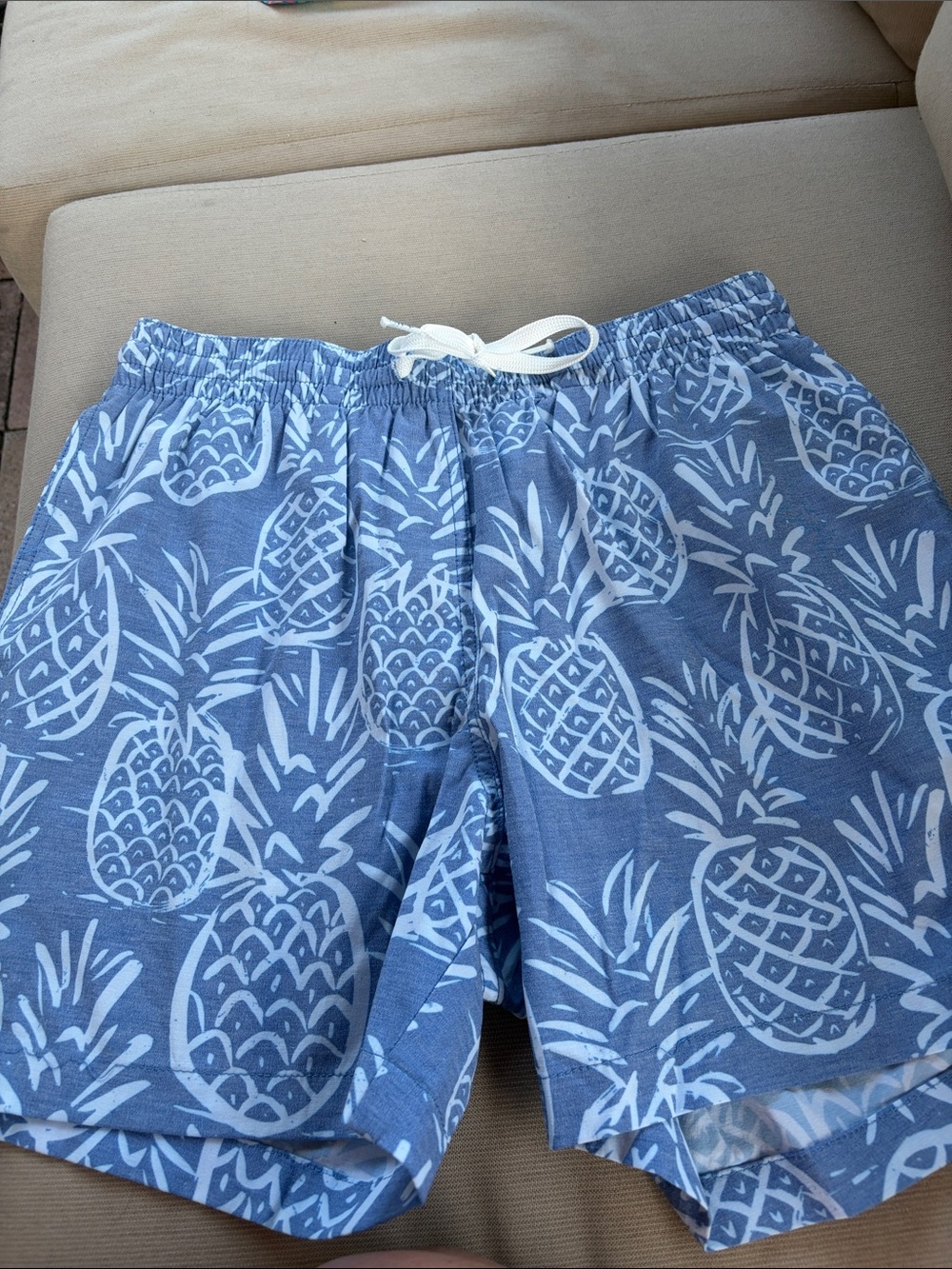 Chubbies Light Blue Pineapple Swim Trunks - small